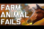 Video - Lustige Hoppalas mit Farm-Tieren