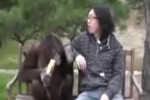 Video - Einem Affen die Chips klauen