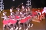 Video - Weihnachtshoppalas