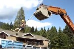 Video - Karussell mit dem Bagger
