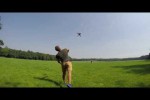 Video - AERIAL VIDEO - wer braucht da noch Drohnen