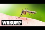 Video - Wieso Mücken manche Menschen stechen und andere nicht!