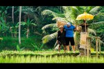 Video - Einen Tag offline in Bali