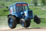 neue witzige Bilder