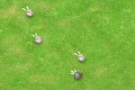 Spiel - Roperunner