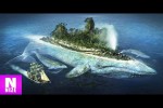Video - Die 15 größten Tiere Der Welt