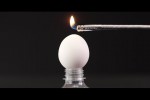 Video - 10 Tricks mit Eiern