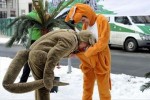 neue witzige Bilder