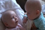 Video - Zwei Babys unterhalten sich