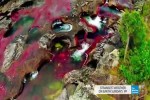 Video - Der Regenbogen-Fluss