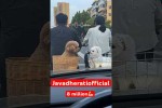Video - Freundin getroffen