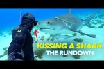 Video - Free Diving With Sharks & More Epic Ocean Adventures