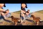 Video - Auch Tiere brauchen manchmal Hilfe