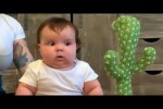 Video - Funniest Baby Videos