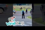 Video - Hirsch-Bulle ermahnt Tourist
