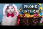 Video - Lustige Ostergrüße