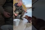 Video - Fisch geklaut