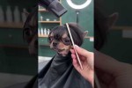 Video - Neue Frisuren f�r die Tiere