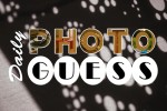 Spiel - Daily Photo Guess