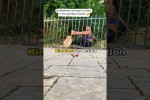 Nicht alle Helden tragen Umh�nge