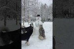 Video - Nase des Schneemanns