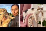 Video - Die besten Videos 2025 (Teil 51)