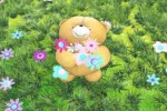Video - Forever Friends: Sending you bunches of love!