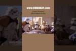 Video - Polizeikontrolle bei Star Wars