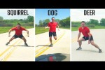 Video - How Animals Would Cross the Road if They Were People