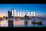 Video - Busan in 8K ULTRA HD