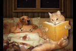 Video - Funny Dogs And Cats Videos