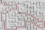 Spiel - Daily Maze