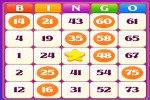 Spiel - Bingo