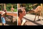 Video - Die besten Videos 2025 (Teil 62)