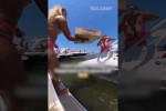 Video - Pizzalieferung per Boot