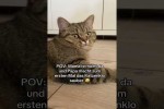 Video - Wie er leidet