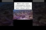 Video - Weg da
