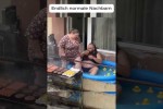 Video - Endlich normale Nachbarn