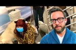 Video - Subway Fails - Best of Adam Rose React Compilation