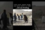 Video - Ich von Montag bis Freitag