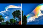 Video - Die besten Videos 2026 (Teil 65)