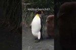 Video - Was sagt der Wetterbericht?