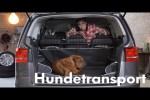 Video - Den Hund im Auto mit in den Urlaub nehmen? Das geht ganz einfach!