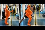 Video - Die besten Videos aller Zeiten (Teil 84)