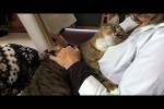 Video - Die lustigsten Tiere - Spaß mit Katzen und Hunden 2023 - LA 159