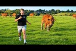 Video - Die besten Videos 2026 (Teil 64)