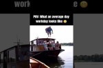 Video - Gar keine gute Idee