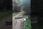 Video - Komischer Kampfhund