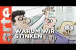 Video - Die Wahrheit ber Schwei - Wer nicht fragt, stirbt dumm - ARTE