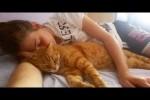 Video - Nickerchen mit der Katze